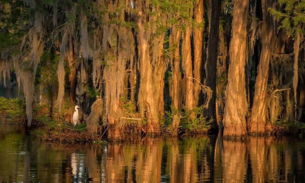 Photo of Others in Lafayette