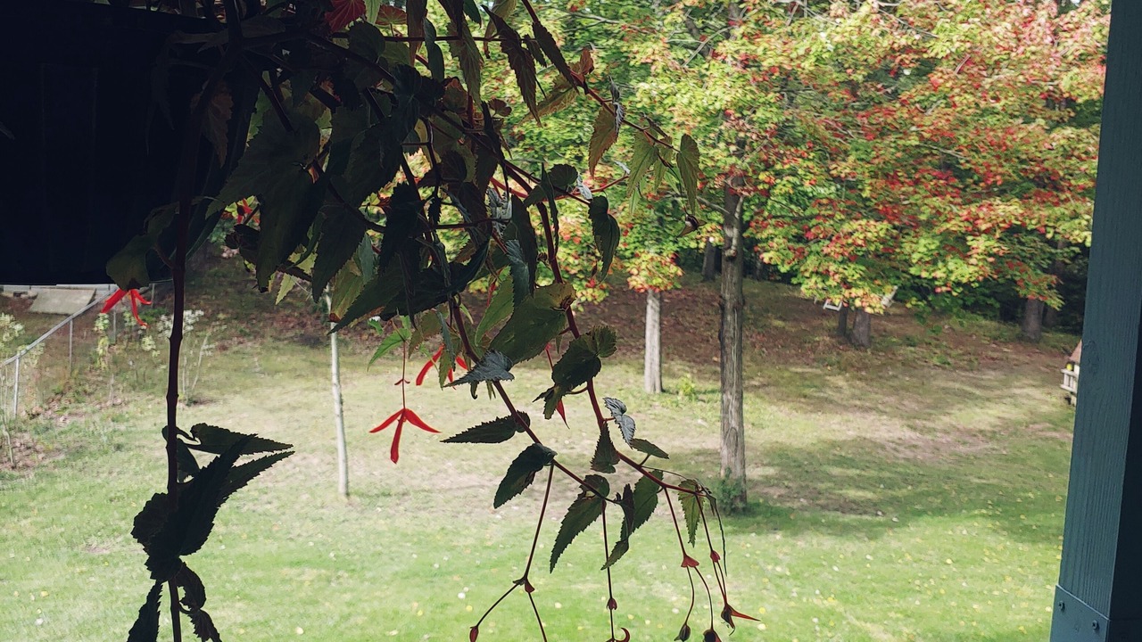Photo of Outdoor in Mount Morris