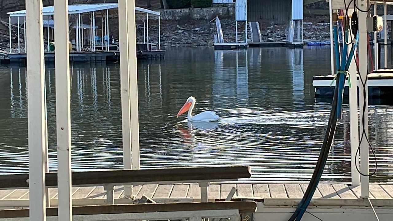 Photo of Others in Afton