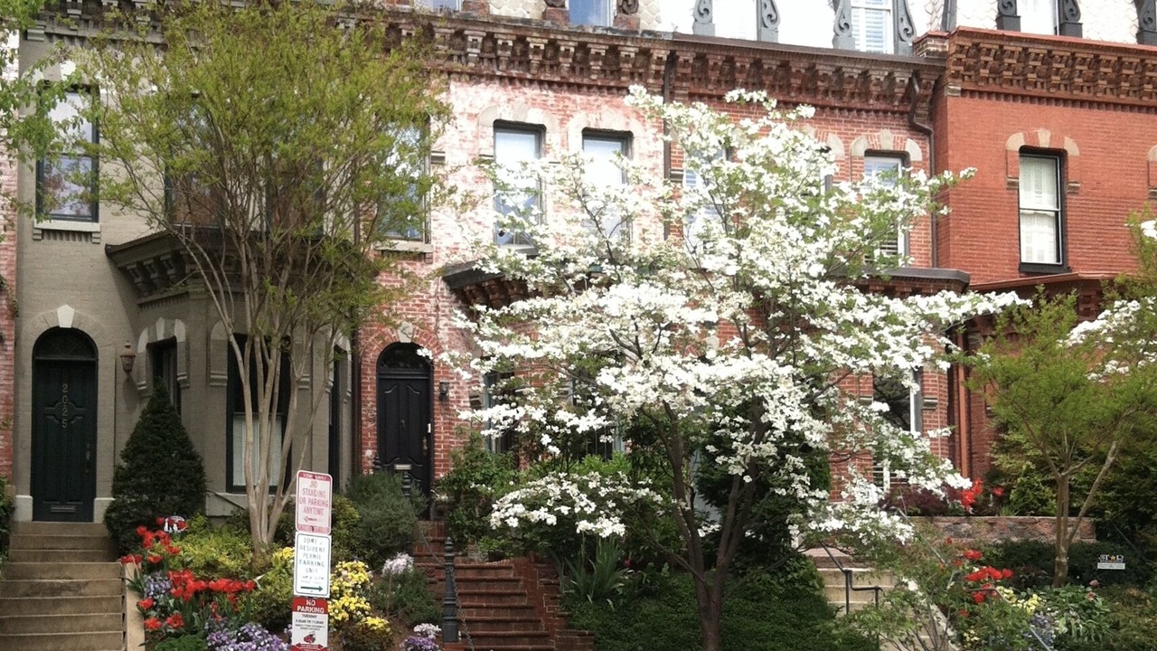 Photo of Outdoor in Embassy Row
