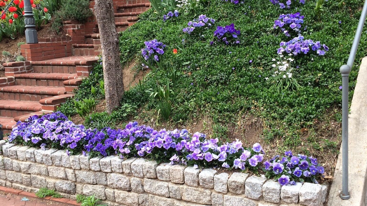 Photo of Outdoor in Embassy Row