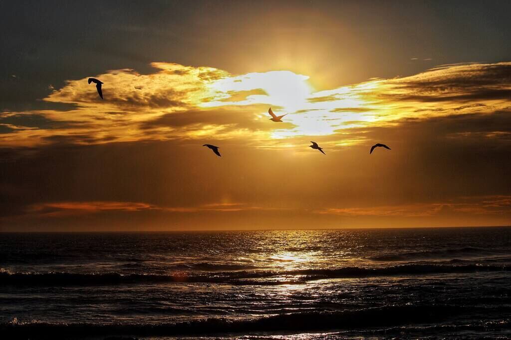 Photo of Others in Cowes