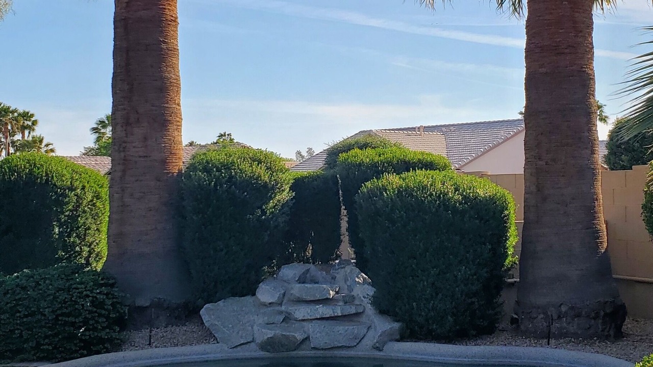 Photo of Outdoor in Palm Valley