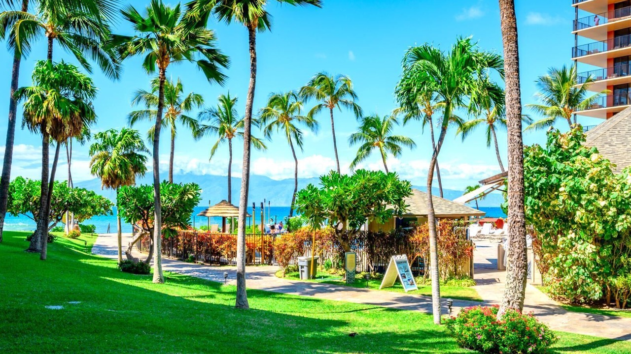 Photo of Outdoor in Honokowai