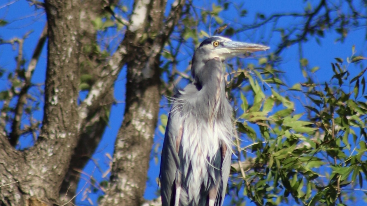 Photo of Others in Seguin