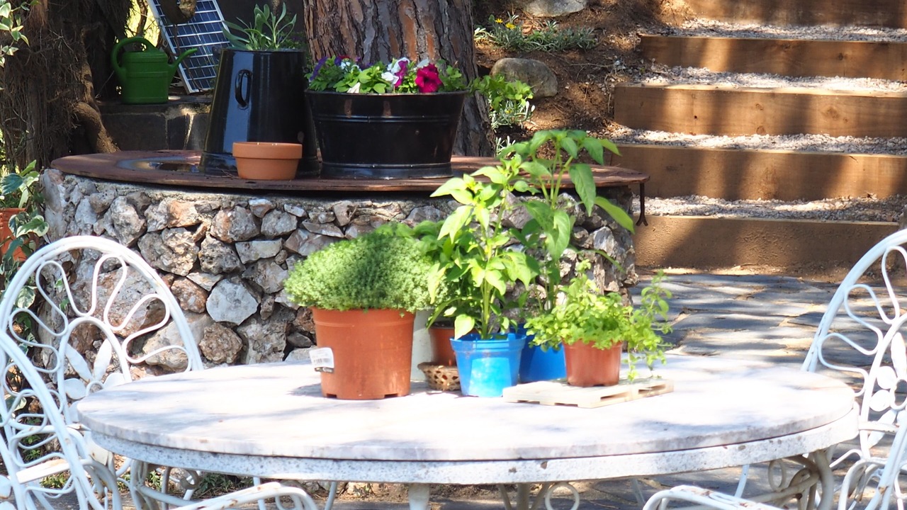 Photo of Outdoor in Sant Vicenc de Montalt