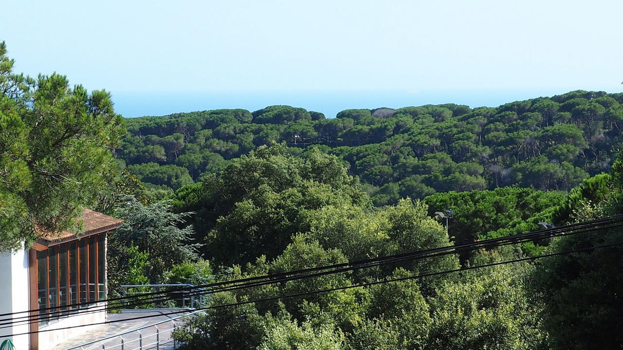 Photo of Others in Sant Vicenc de Montalt