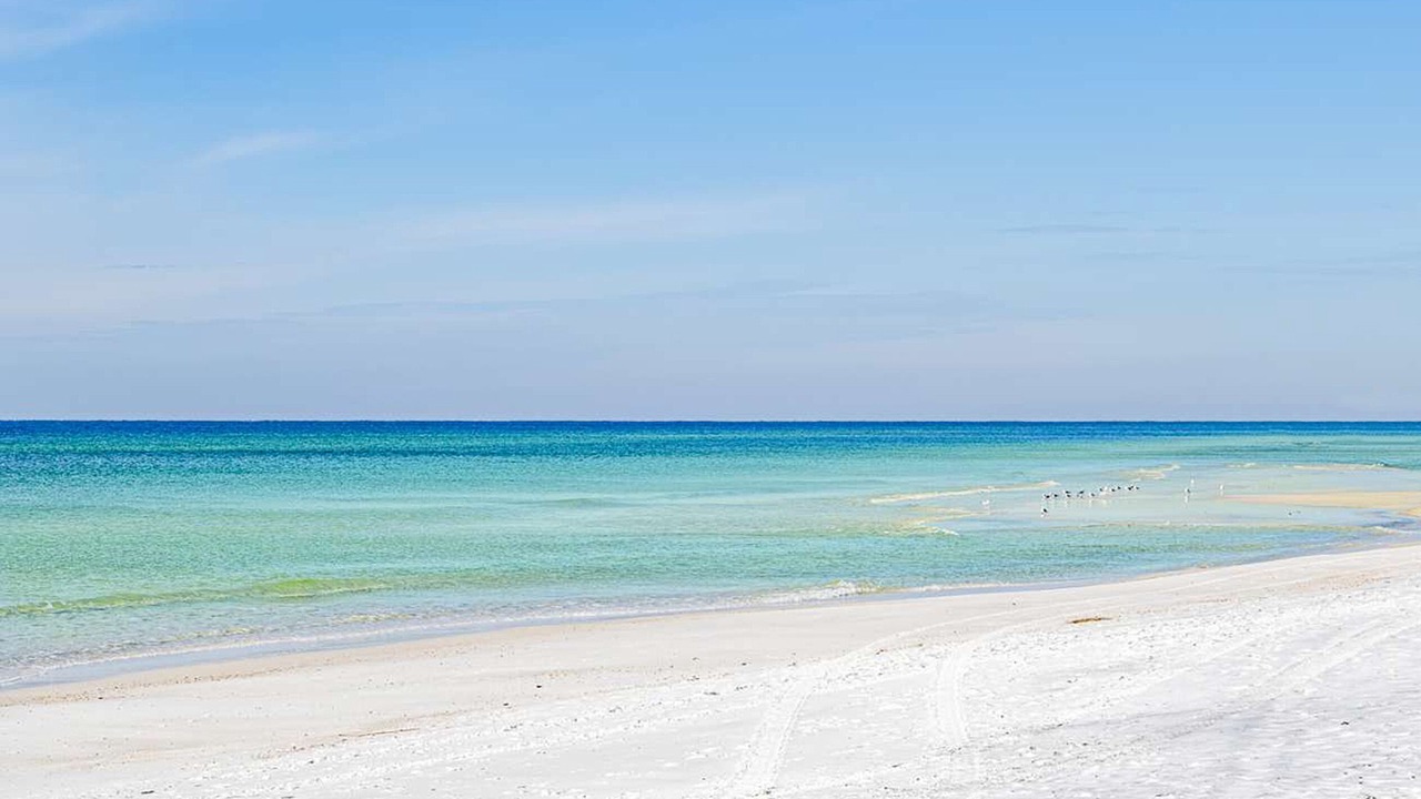 Photo of Others in El Centro Beach