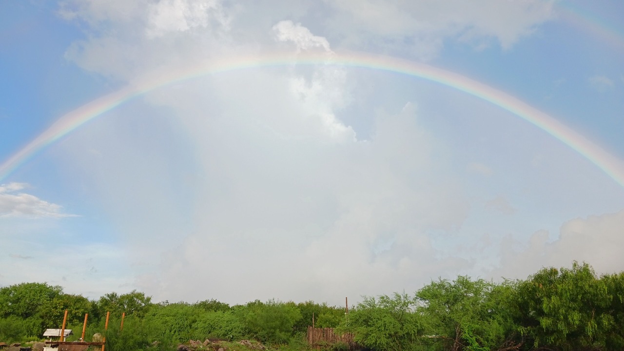 Photo of Others in Sinton