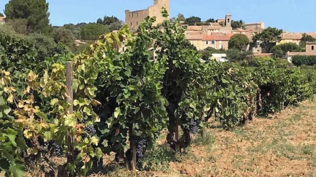 Photo of Outdoor in Chateauneuf-du-Pape