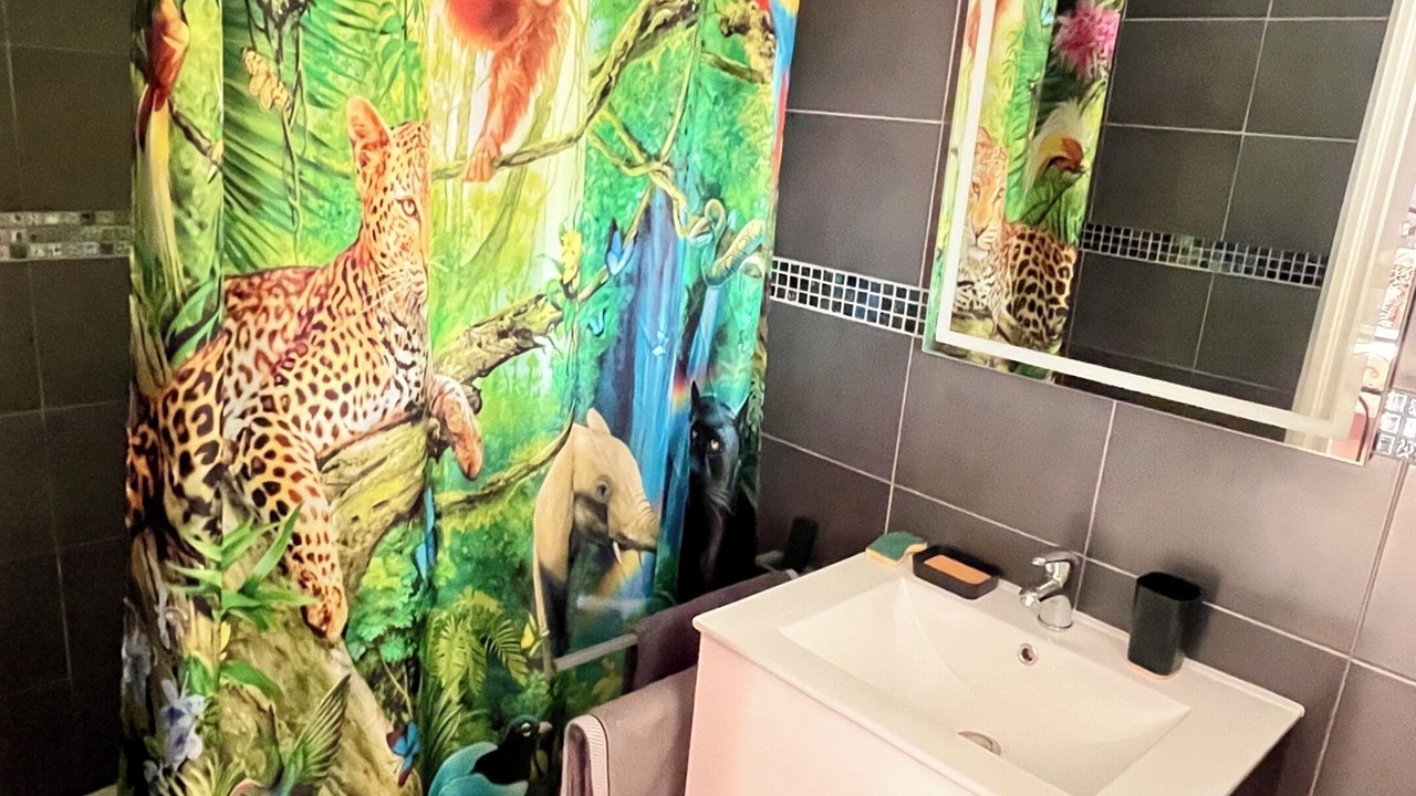Photo of Bathroom in Saint-Genest
