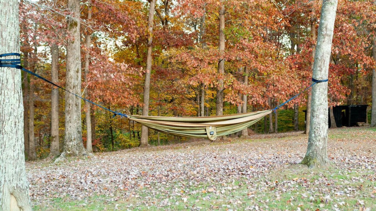 Photo of Outdoor in Beattyville