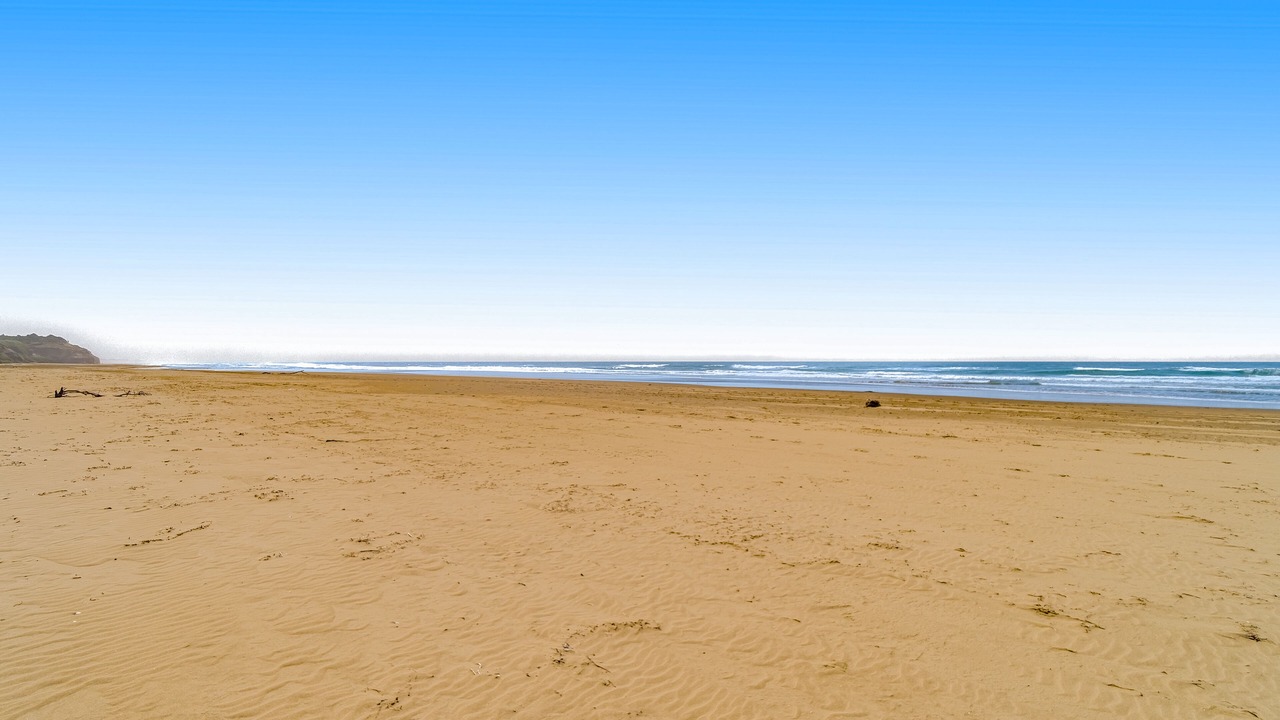 Photo of Others in South Beach