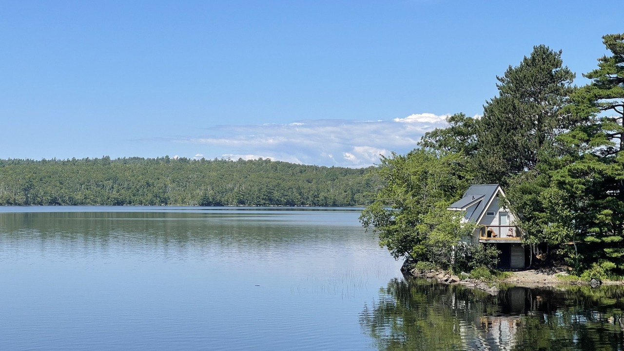 Photo of Outdoor in Waverley