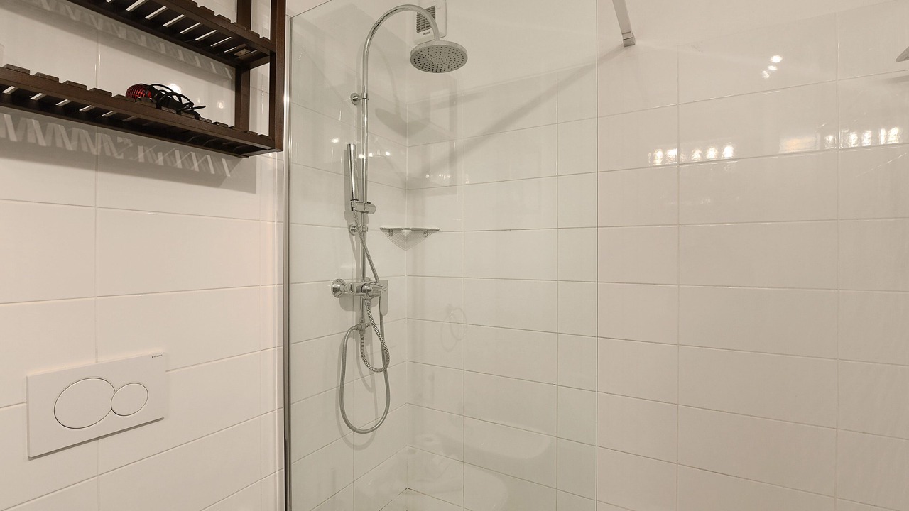 Photo of Bathroom in Viganello