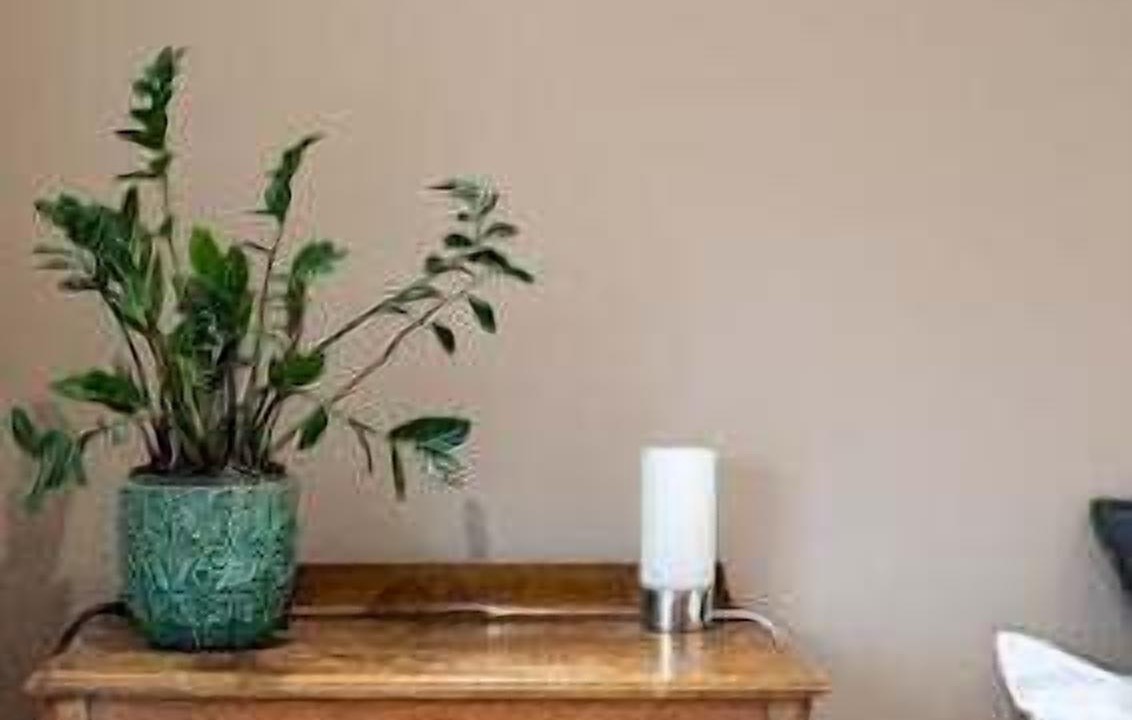 Photo of Others in Haverstock