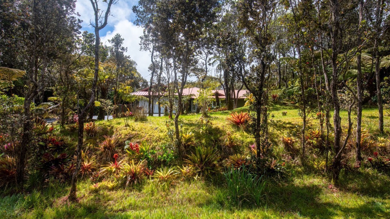 Photo of Outdoor in Volcano