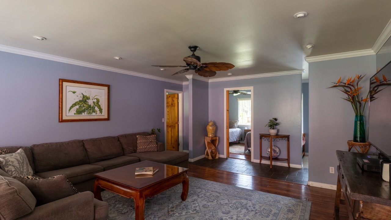 Photo of Livingroom in Volcano