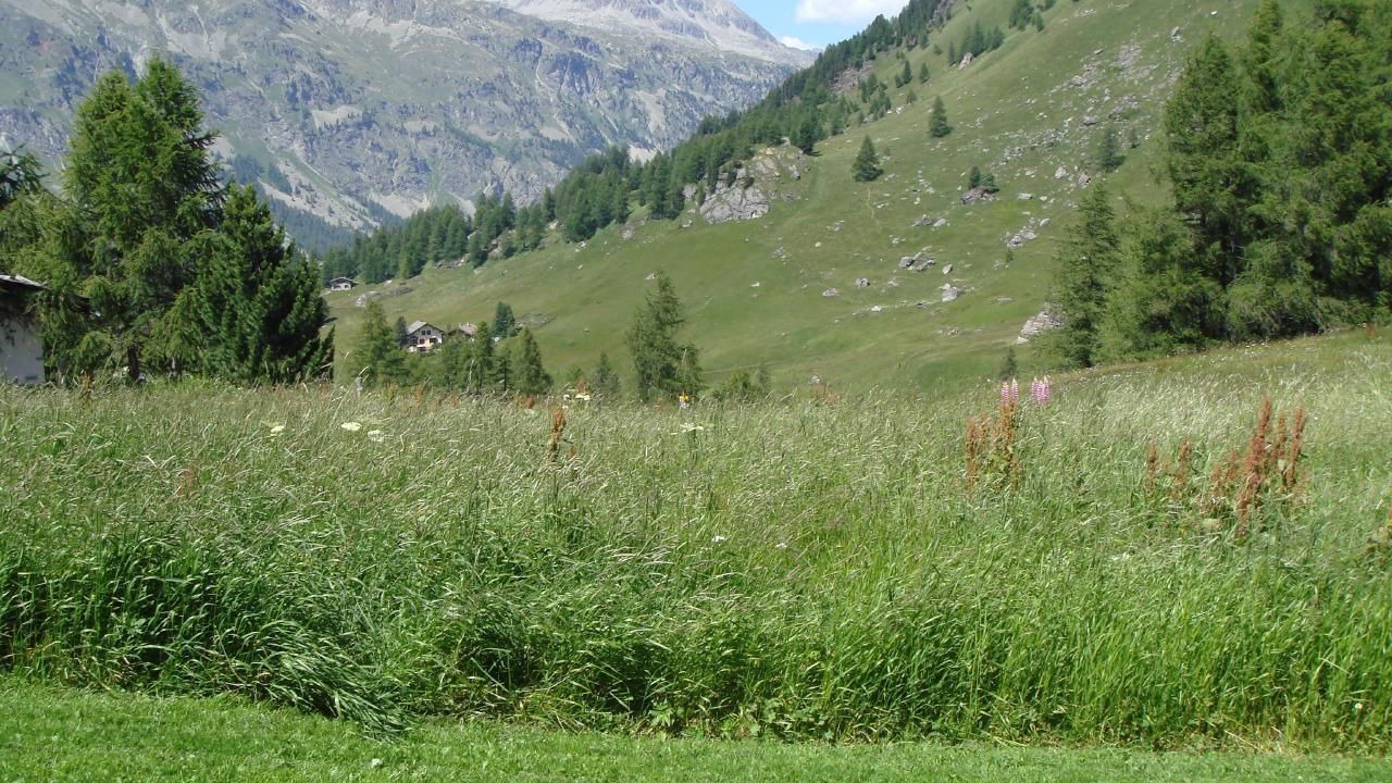 Photo of Others in Sils im Engadin-Segl