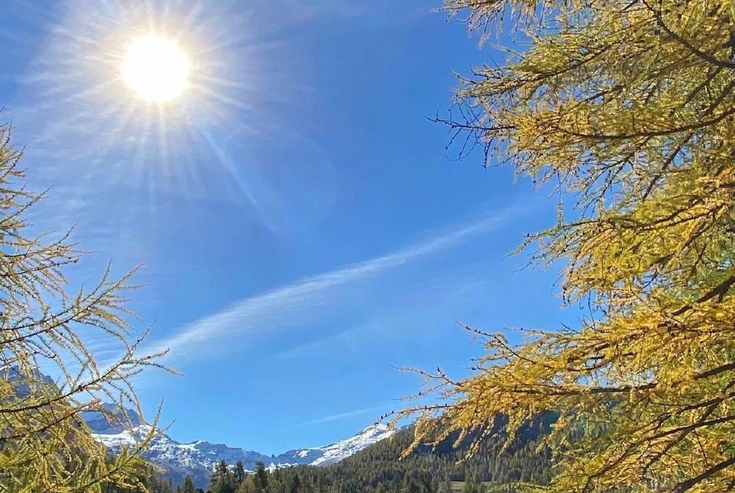 Photo of Others in Sils im Engadin-Segl