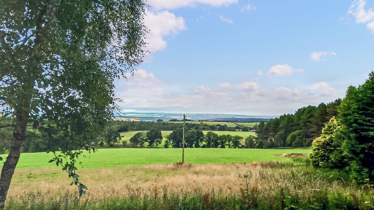 Photo of Others in Hexham