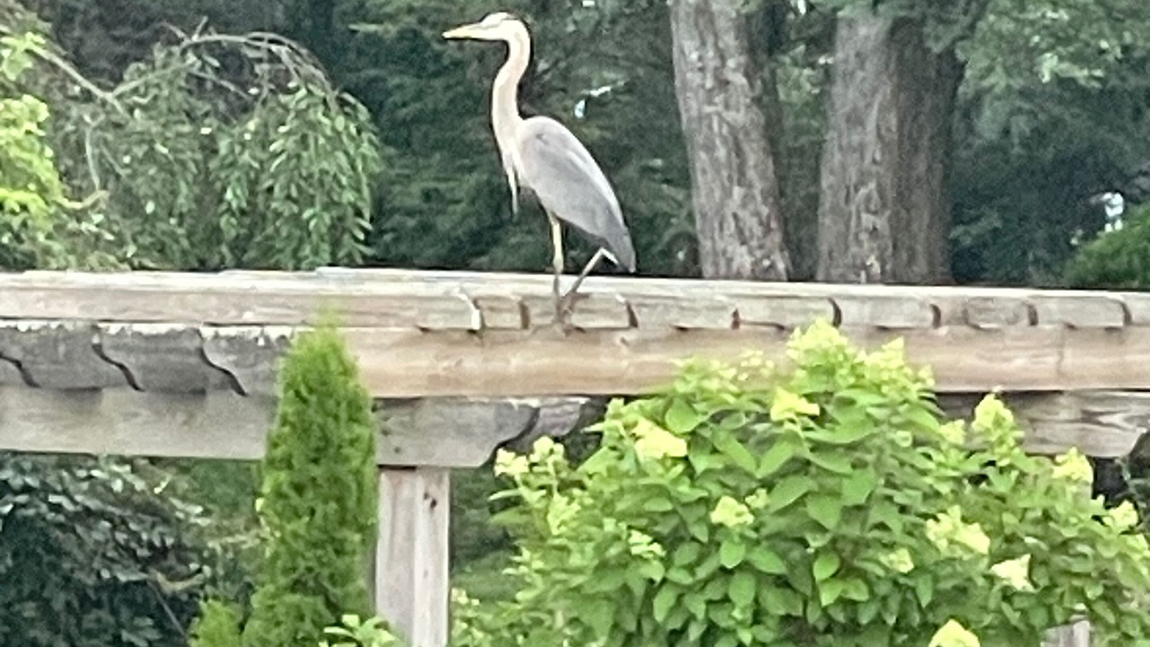 Photo of Outdoor in Mahopac