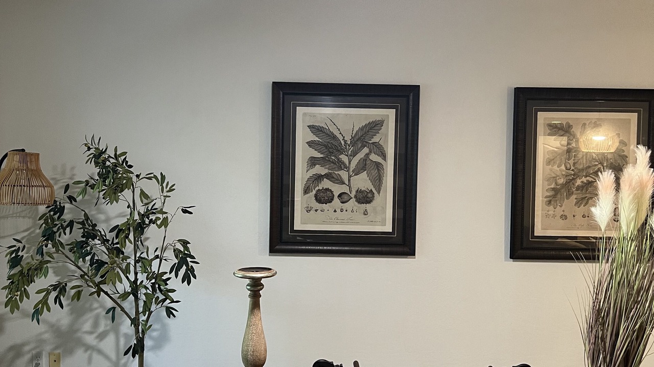Photo of Livingroom in Fountain Hills