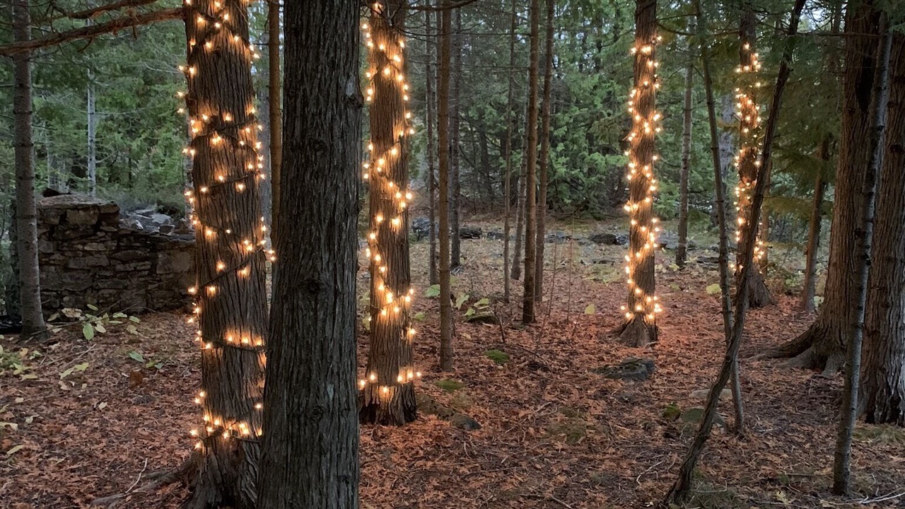 Photo of Outdoor in Miller Lake