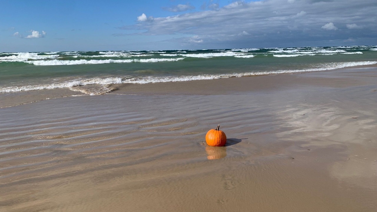 Photo of Others in Sauble Beach