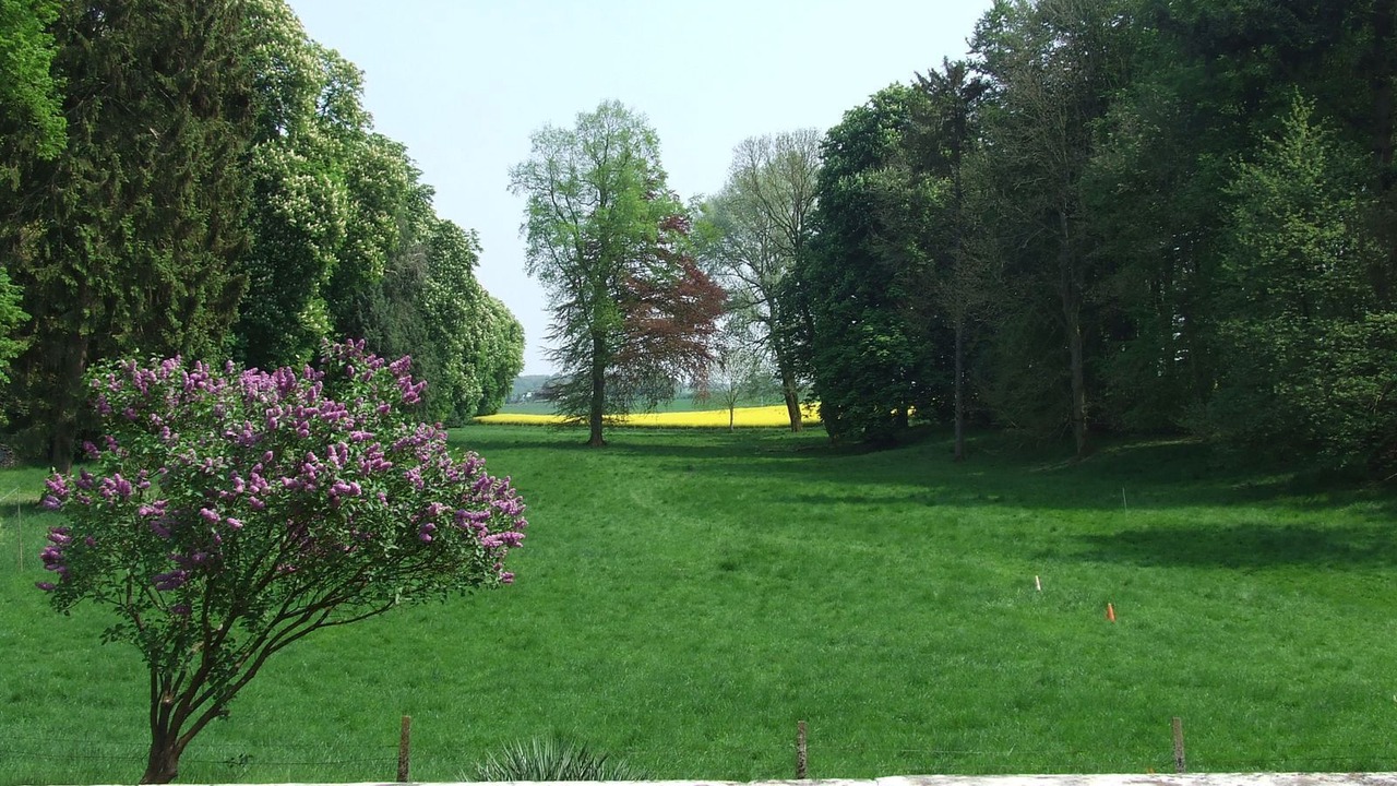 Photo of Outdoor in Beauquesne