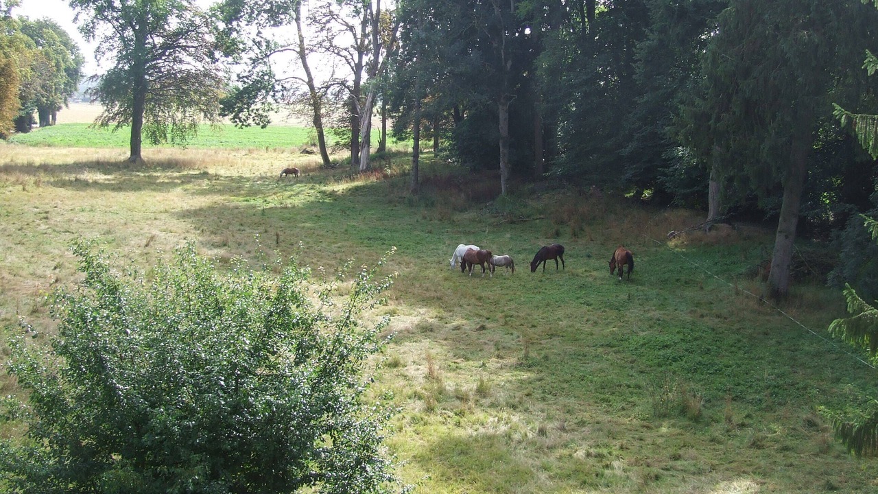 Photo of Outdoor in Beauquesne