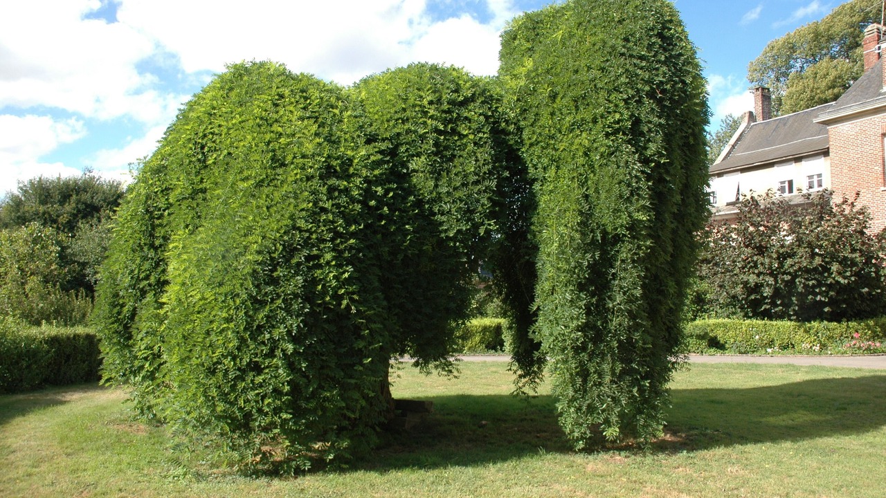 Photo of Outdoor in Beauquesne