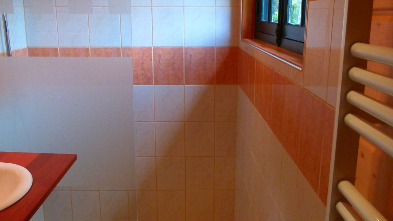 Photo of Bathroom in Longroy