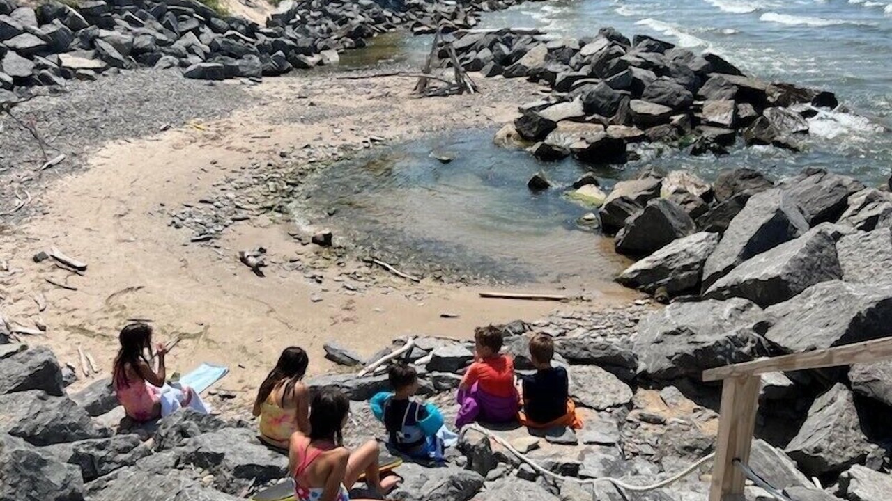 Photo of Others in Mannsville