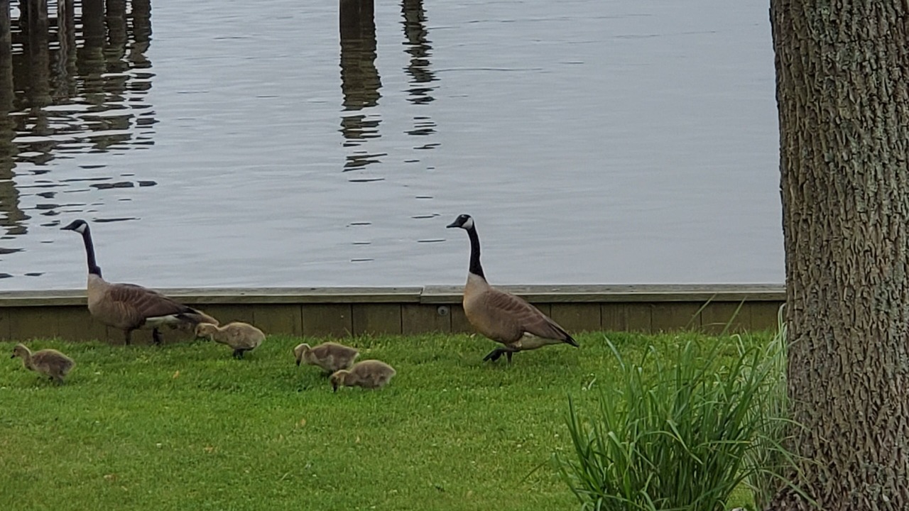 Photo of Outdoor in Perryville