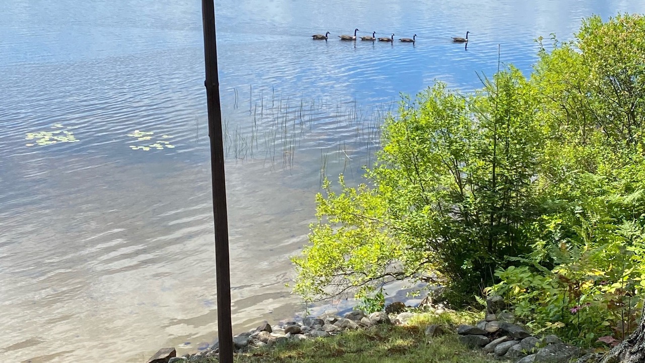 Photo of Outdoor in Novar