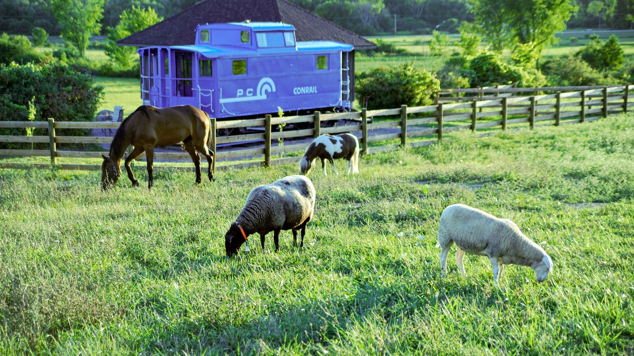 Photo of Others in Sprout Brook