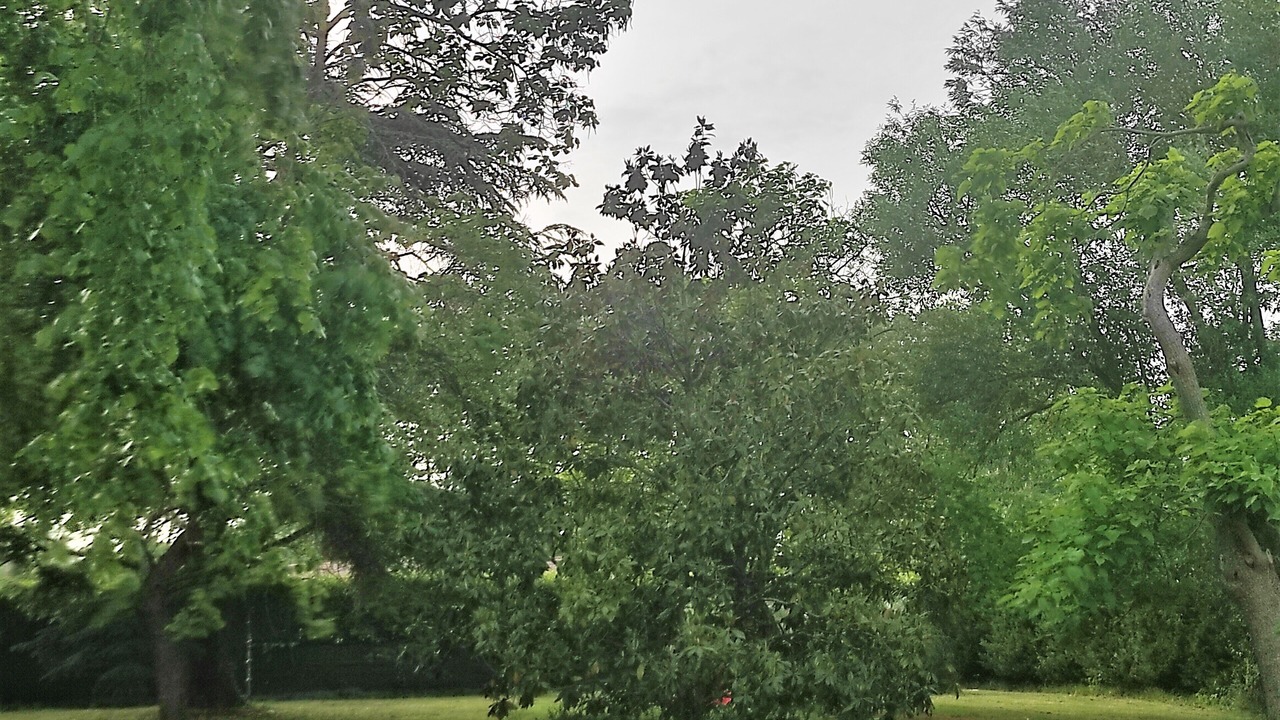 Photo of Outdoor in Cintegabelle