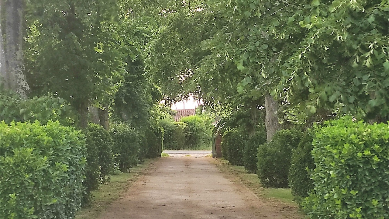 Photo of Outdoor in Cintegabelle