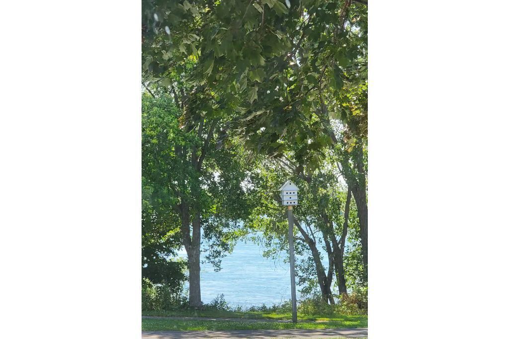 Photo of Others in LaSalle