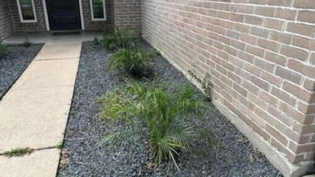 Photo of Outdoor in Houston