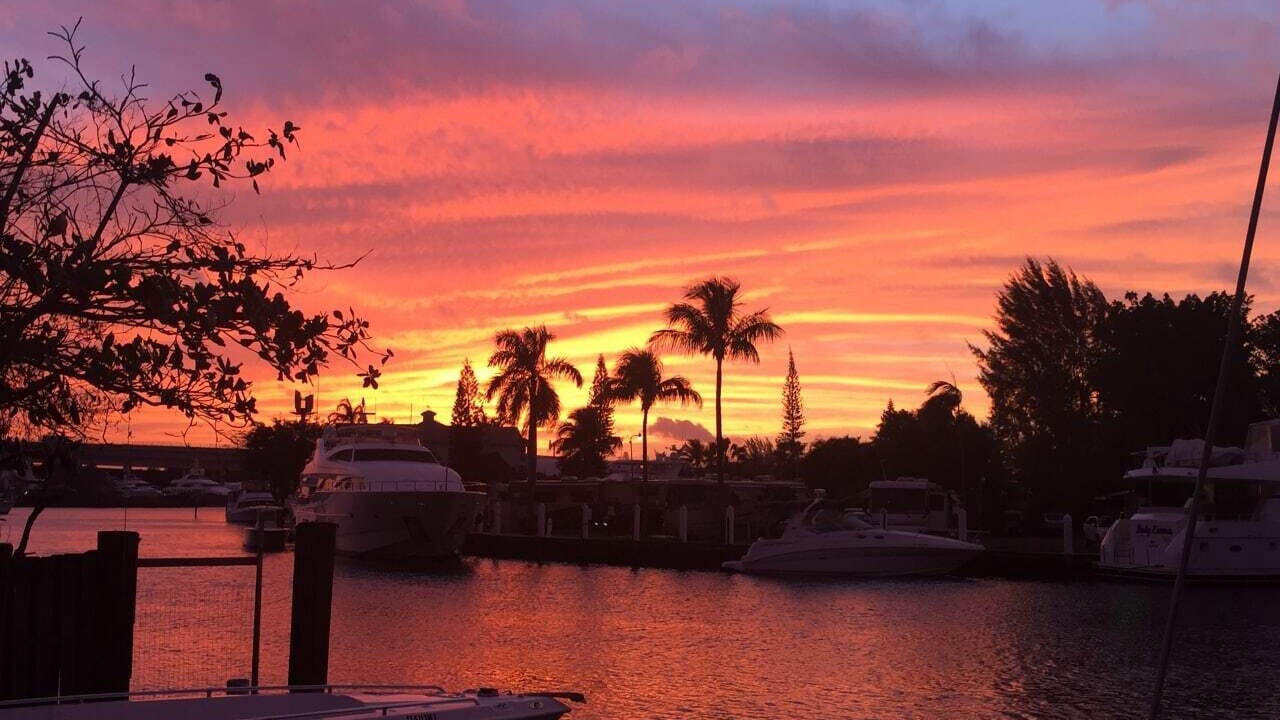 Photo of Others in Fort Lauderdale
