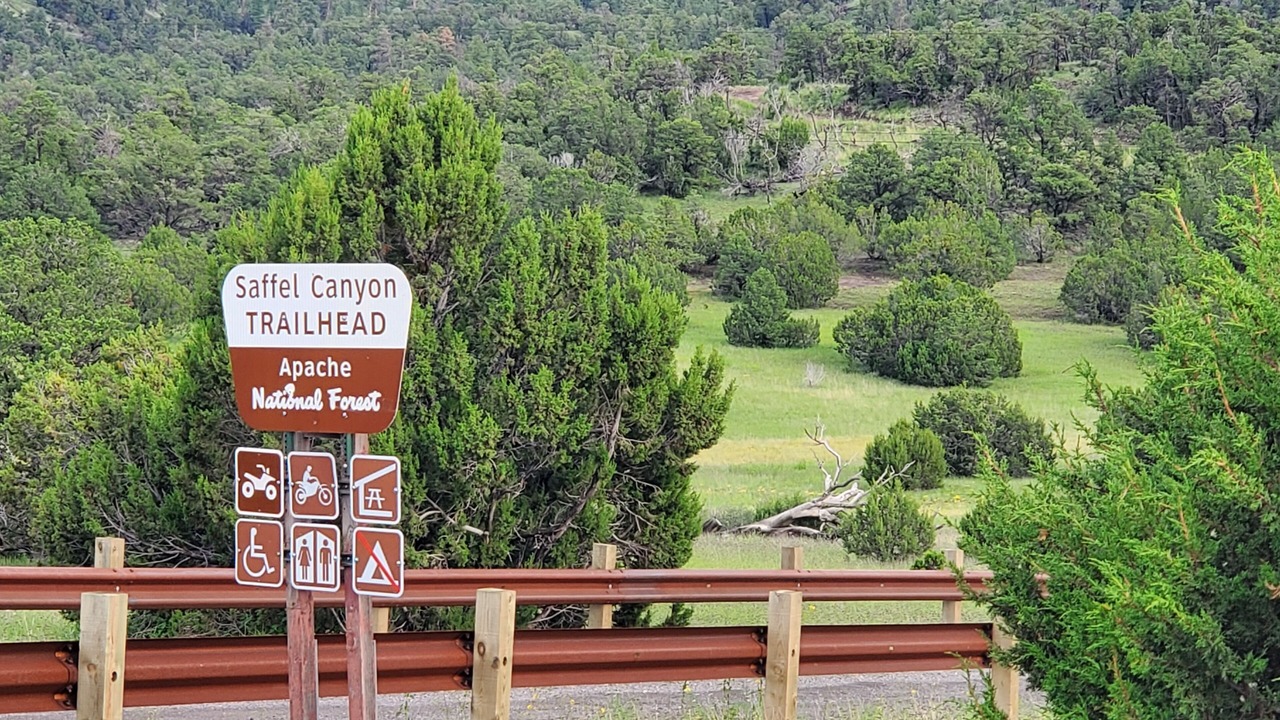 Photo of Others in Springerville