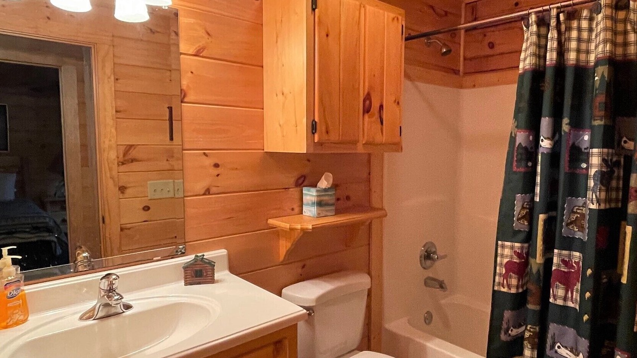 Photo of Bathroom in Murphy