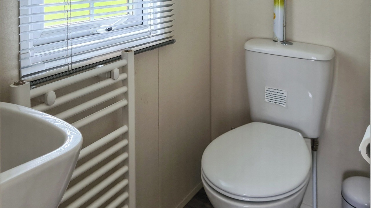 Photo of Others in Dollar