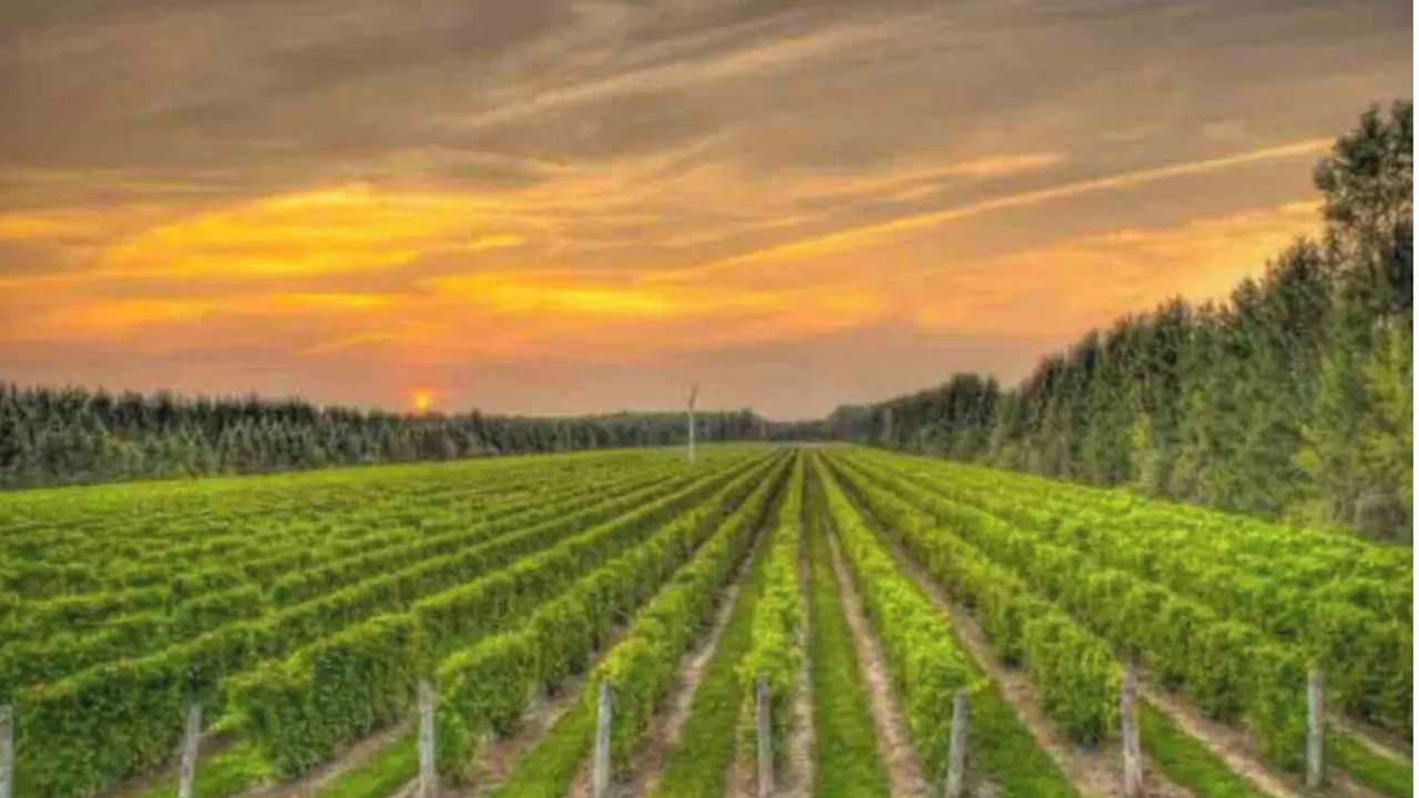 Photo of Others in Long Island