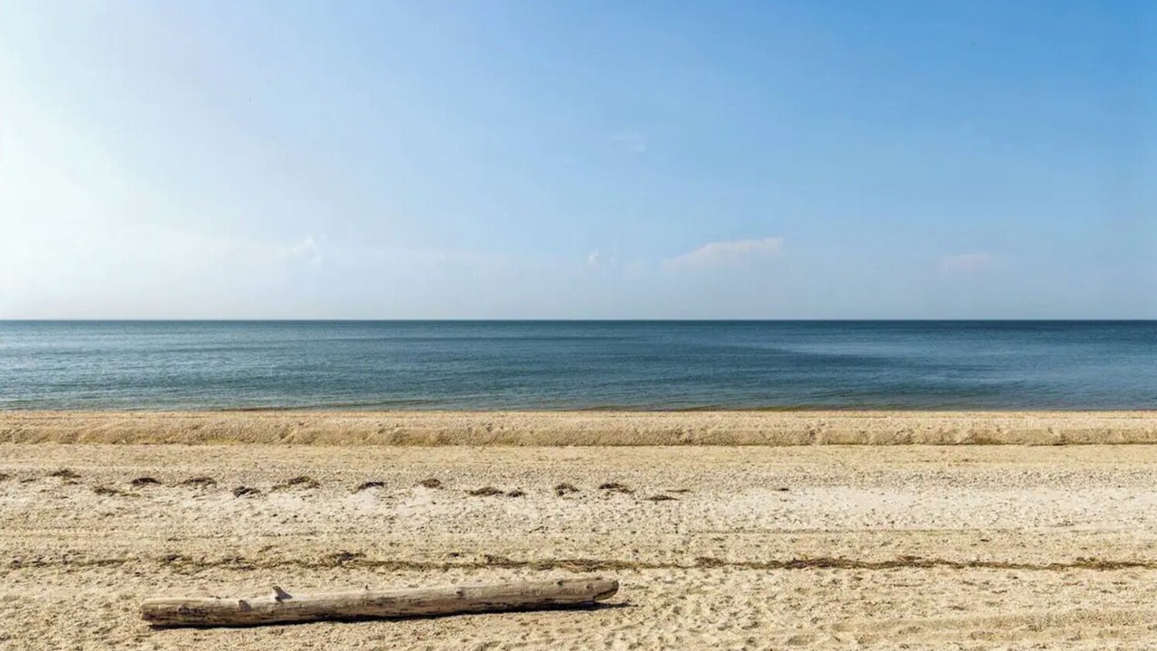 Photo of Others in Long Island