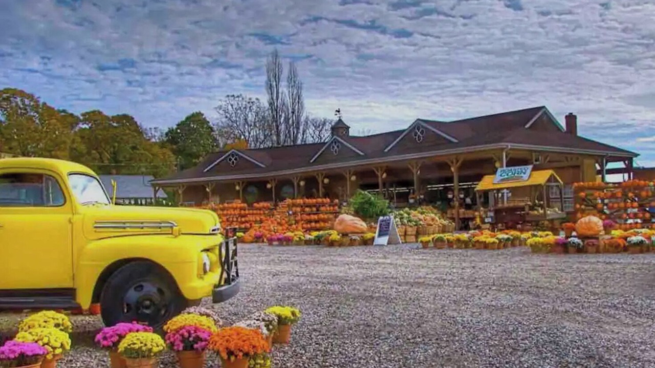 Photo of Outdoor in Long Island