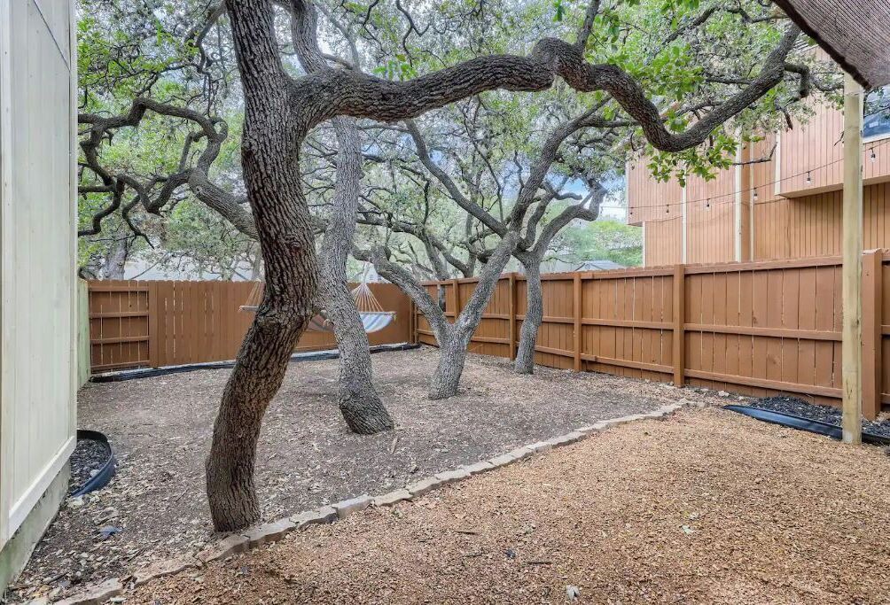 Photo of Others in North San Antonio - SAT