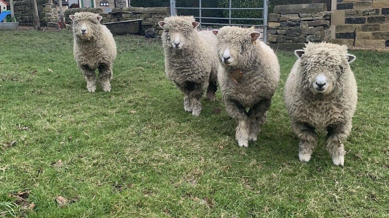 Photo of Others in Rastrick